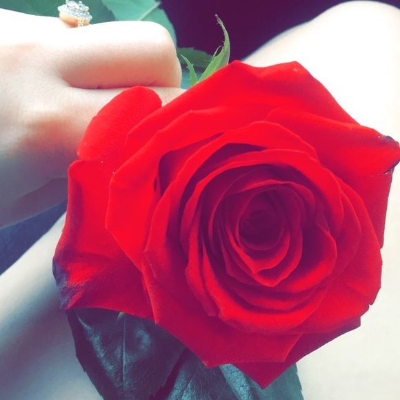 Meet your Posher, Laura - Picture 1 of 3